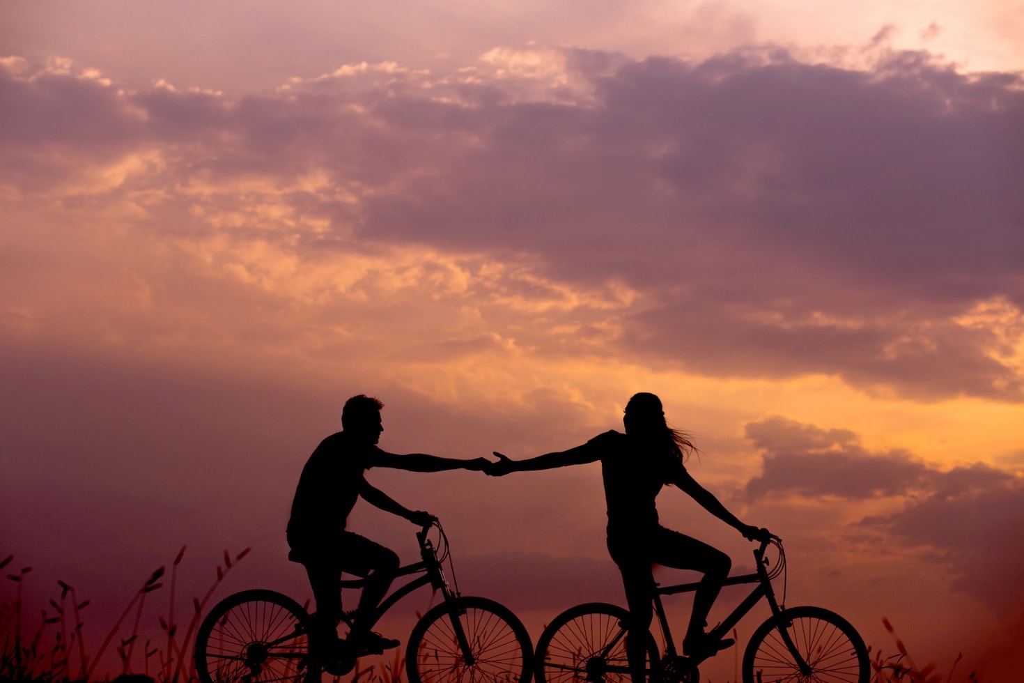 When Love Blooms in the Shadows of a Pandemic